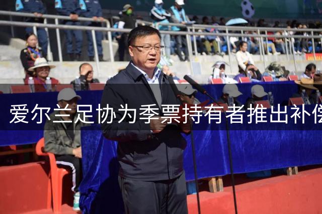 爱尔兰足协为季票持有者推出补偿方案